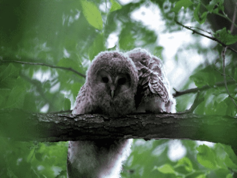试管怎么做好（试管最大的孩子）——
