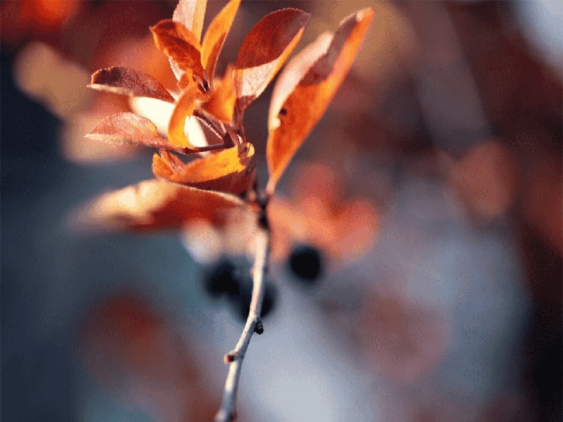 贵阳最靠谱的代生,代生咨询：在贵阳公立医院可